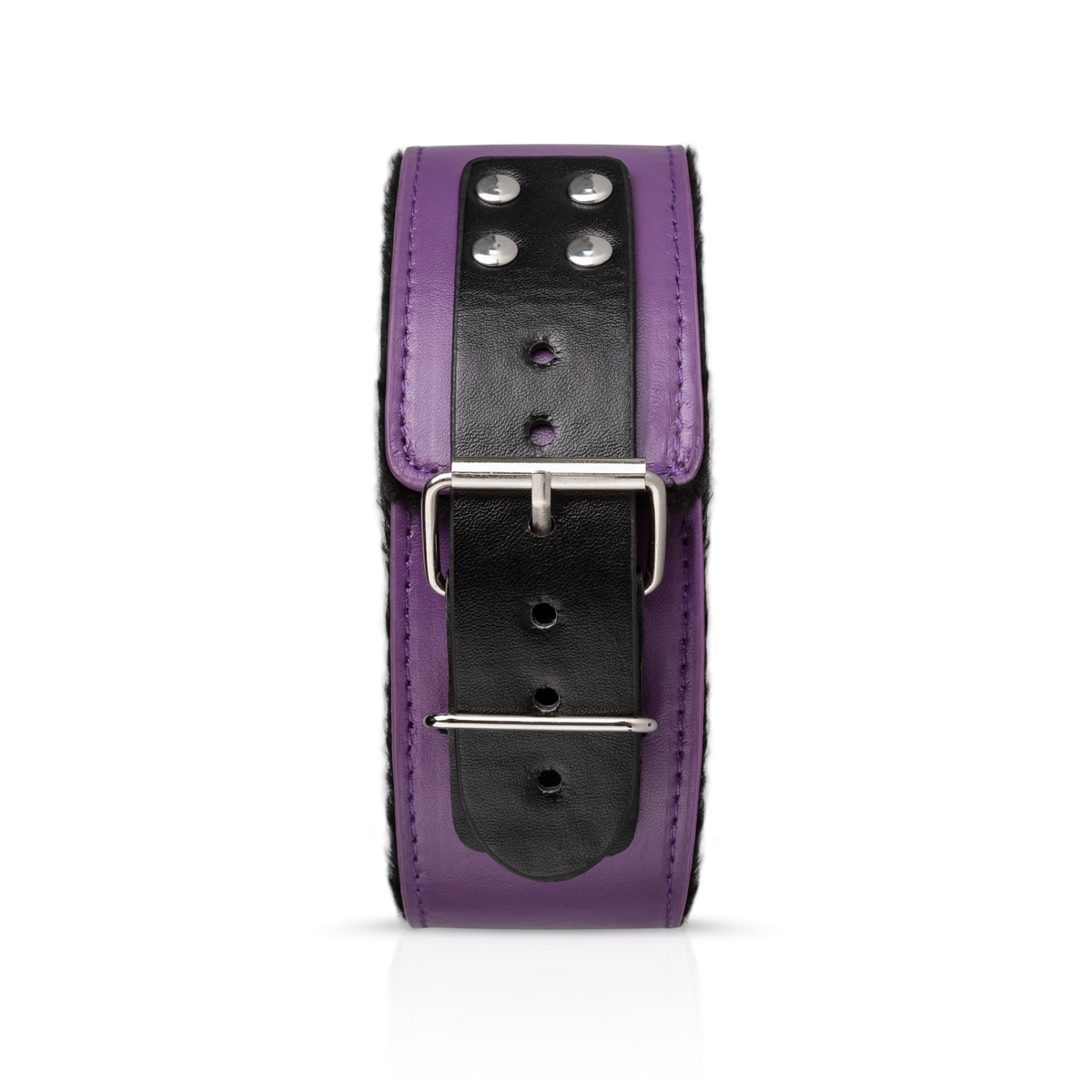 Secret Pleasure Chest - Apprendista Viola