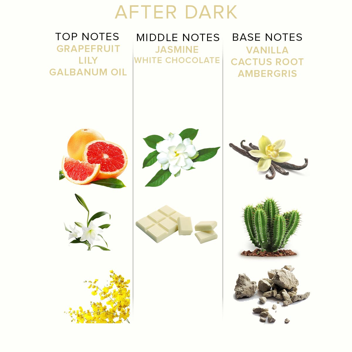 Profumo After Dark Pheromones - Da donna a uomo